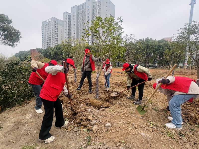 1773881915928005.jpg